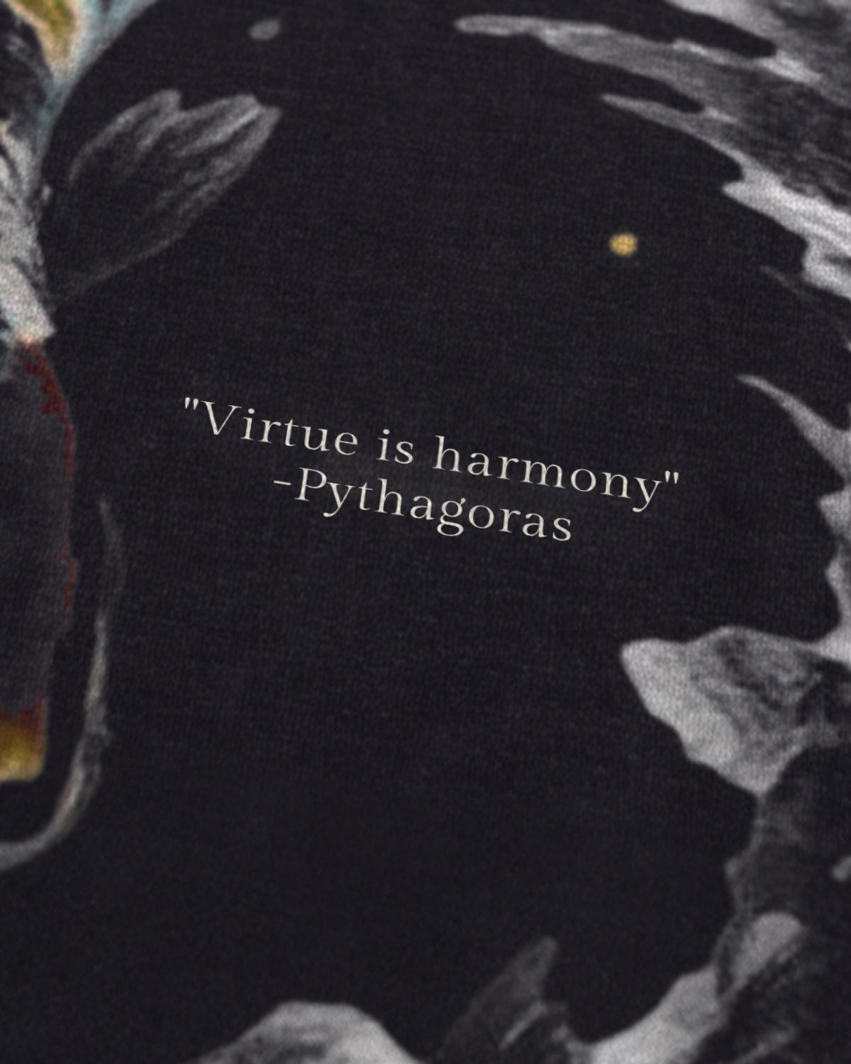 Pythagoras Koi Fish tee quote close-up, front, black